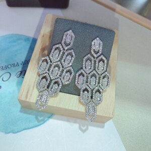 Designer Statement Earrings 